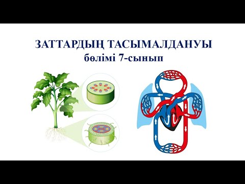 Видео: 7 сынып ТІРІ  ОРГАНИЗМДЕГІ  ҚОРЕКТІК ЗАТТАР  ТАСЫМАЛЫНЫҢ  МАҢЫЗЫ