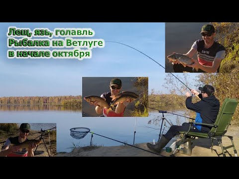 Видео: РЫБАЛКА НА ФИДЕР В ОКТЯБРЕ 2020  Как поймать большую рыбу  Крупный язь, лещ, голавль