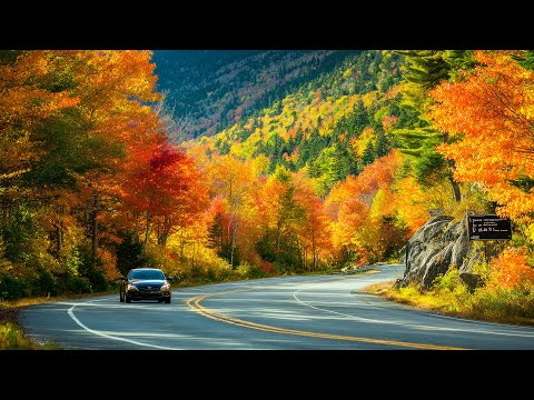 Видео: Красивая осенняя музыка 🍁 Спокойные мелодии для глубокого расслабления