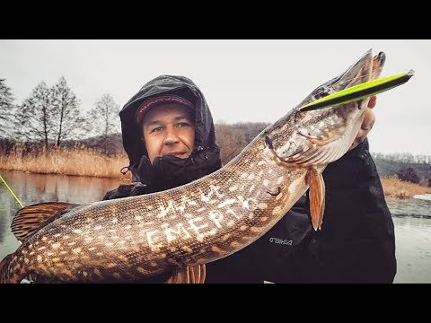 Видео: Крупная щука на воблеры! Рыбалка на щуку! ZipBaits Orbit 130 SP - дебют. Рыбалка на малой реке