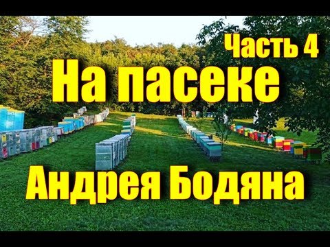 Видео: На пасеке Андрея Бодяна - Летний визит /Часть четвертая/