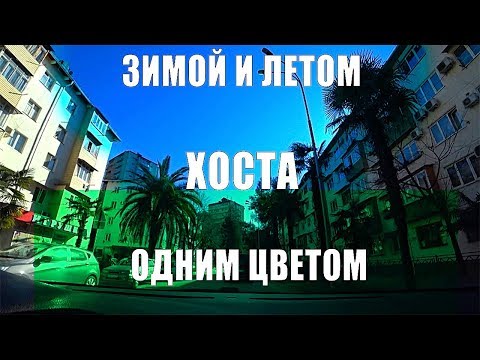 Видео: 🔴 ХОСТА Зимой и Летом 🏖ОДНИМ ЦВЕТОМ : ЭКСКУРСИЯ : ЖК Хоста Ривер Парк, ЖК Звёздный Берег, ЖК Плат