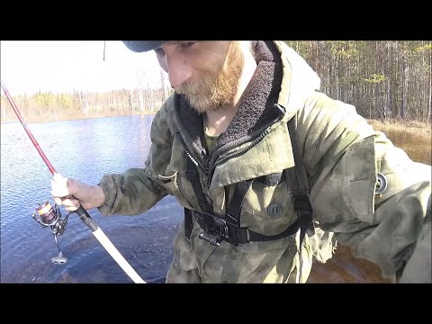 Видео: Большая вода 2022