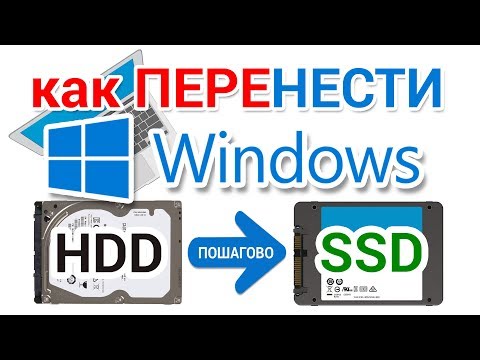 Видео: Как перенести Windows на SSD