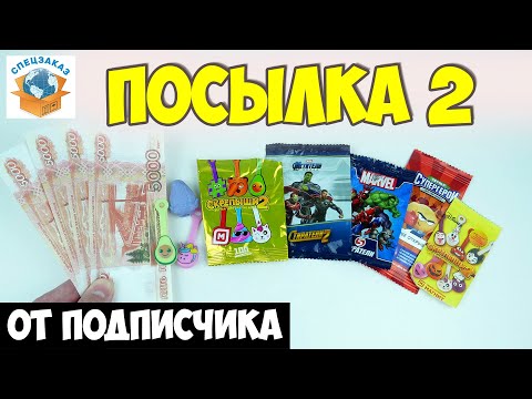 Видео: Скрепыши Деньги и Железные Фишки Гормити от Подписчика. Распаковка Обзор Посылки | СПЕЦЗАКАЗ
