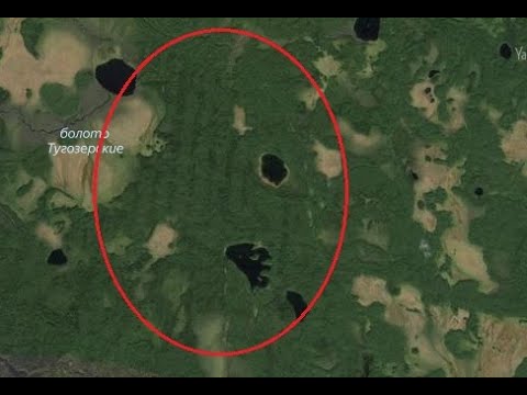Видео: Тайны Вологодского Индомана. Древние таинственные сооружения в лесу. Одиночный поход-исследование.