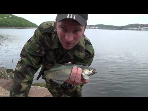 Видео: Рыбалка на Черных камнях