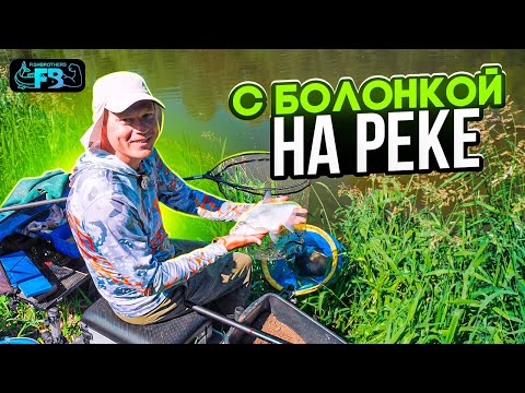 Видео: ЛОВЛЯ НА БОЛОНКУ на малой реке! Красивая рыбалка в диком месте!