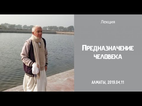 Видео: 11/04/2019, Предназначение человека - Александр Хакимов, Алматы