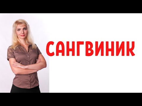 Видео: Сангвиник: темперамент