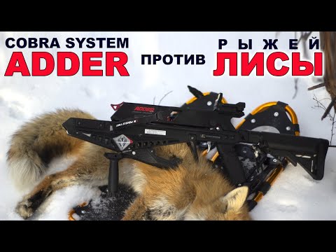 Видео: Cobra System ADDER против ЛИСЫ