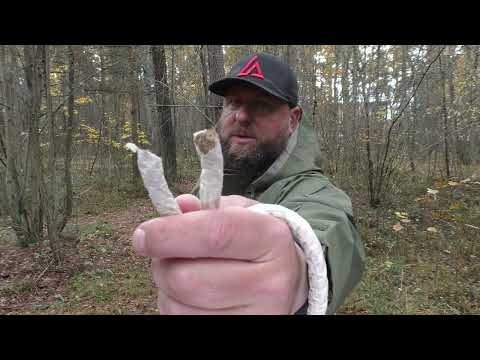 Видео: Нож VECTOR Bestechman. Уличный тест