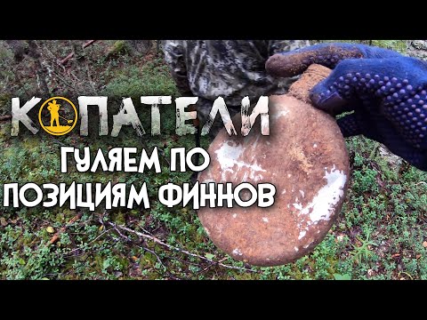 Видео: Первый коп в 2022 / Гуляем по финским позициям с Quest Q40