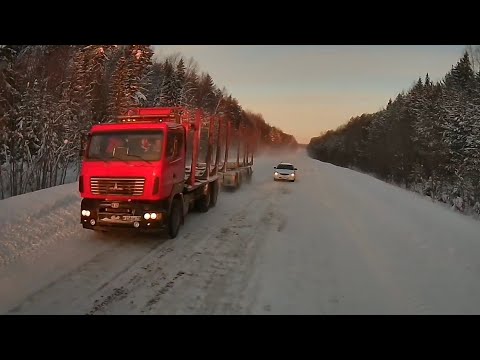 Видео: Чем они думают? Выехал на встречку груженному лесовозу. #маз