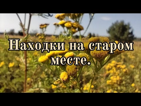 Видео: Находки на старом месте. Коп 2025.