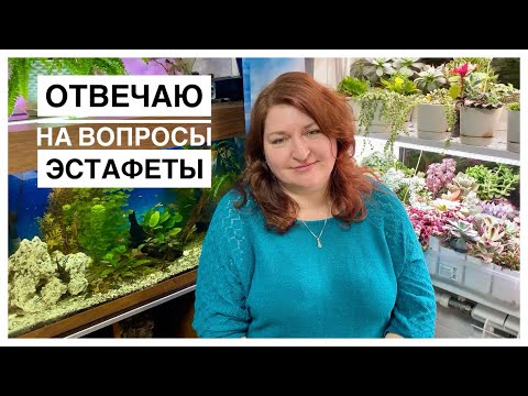 Видео: Эстафета цветочных блогеров. Отвечаю на вопросы.