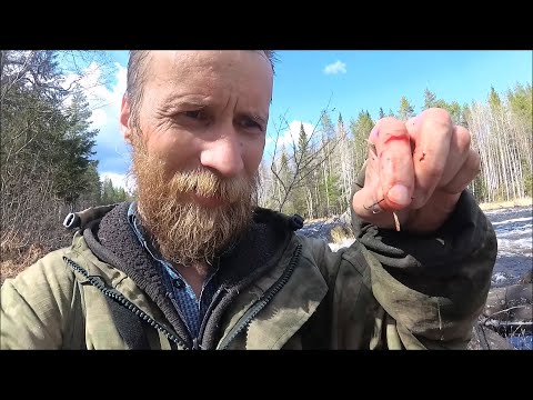 Видео: Находка в камнях переката и Удивительная поклёвка. БОЛЬШАЯ ВОДА рыбалка