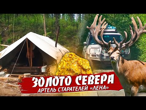 Видео: Добыча золота. Артель ,,Лена,, Та самая, где бывал Высоцкий.В.С.