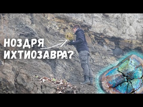 Видео: Поиск окаменелостей| Нашел ноздрю ихтиозавра| Гетероморфные аммониты| Минерал марказит
