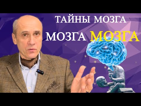 Видео: Можно ли поменять голову? Большой мозг - это хорошо или плохо?