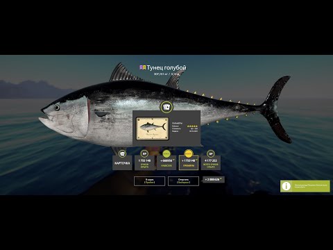 Видео: СТРИМ ПО РР4! ВЫТАЩИЛ ТРОФ ТУНЦА!!!!