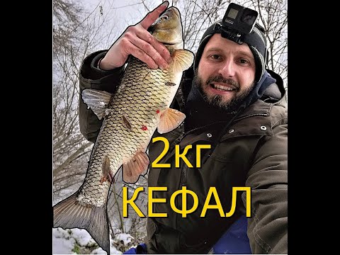 Видео: 2кг КЕФАЛ ! РИБОЛОВ с ПЛУВКА и болонеза еп 10 ! Как обърнах капото в риболов на трофеен кефал !