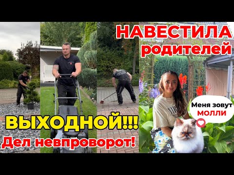 Видео: С УТРА ДО ВЕЧЕРА РАБОТАЕМ /В ВЫХОДНОЙ ДЕЛ НЕВПРОВОРОТ/СОСКУЧИЛАСЬ ПО РОДИТЕЛЯМ и МОЛЬКЕ,ЕДУ В ГОСТИ