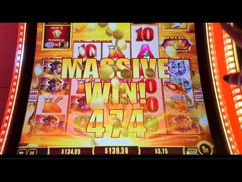 Видео: Удача новичков на Buffalo Gold утроилась