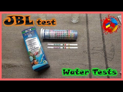 Видео: Наконец-то я их заказал! Тесты для аквариума / JBL test