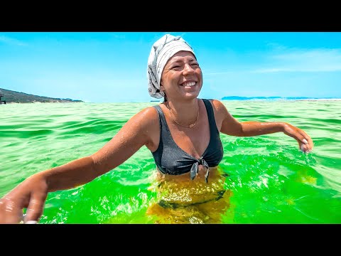 Видео: Кабардинка 2022 - это вам не Геленджик! Пустые пляжи, массаж, рыбалка и цены