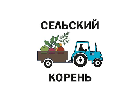 Видео: Т 40 и китайская почвофреза 1GQN 180 после 7 га