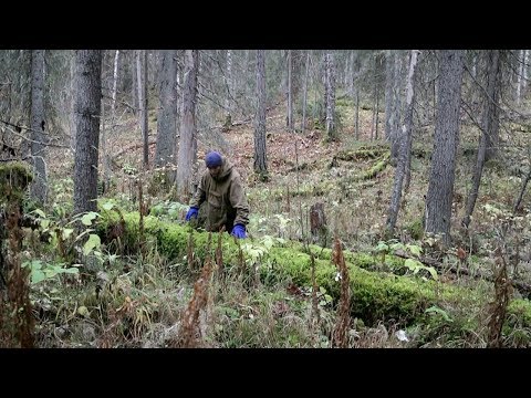 Видео: Мини балаган и печка (2 день)