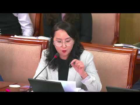 Видео: Ж.Баярмаа: Үндсэн хууль зөрчсөн гэж дүгнэж. 