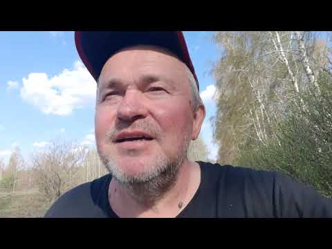 Видео: Ночью Цвета Турнбулева Синь. Песня Стаса Камаева. Поёт Бадхи.