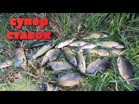 Видео: СУПЕР новый ставок Счастливка (Николаевская область) название говорит за себя