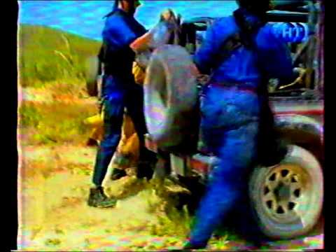 Видео: Анонсы/окончание передач.ТНТ.2000 год