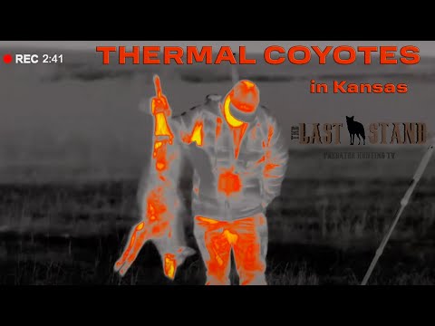 Видео: Тепловые койоты в Канзасе, часть 2 | Последний рубеж, сезон 6: серия 14