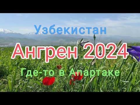 Видео: Узбекистан Ангрен где-то в Апартаке 2 мая 2024 г.