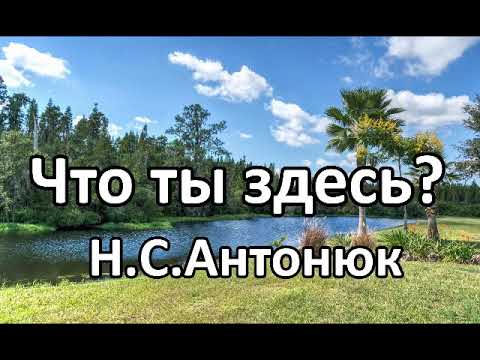Видео: Что ты здесь? Н. С. Антонюк. Беседа. Проповедь. МСЦ ЕХБ.