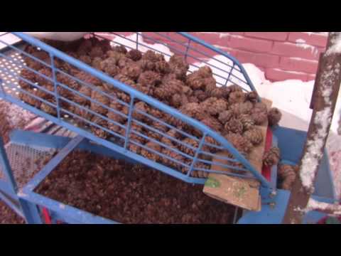Видео: Шелушилка- веялка кедровой шишки