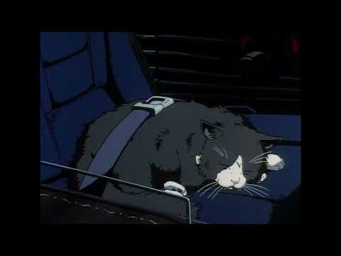 Видео: просто лера -  светофоры speed up