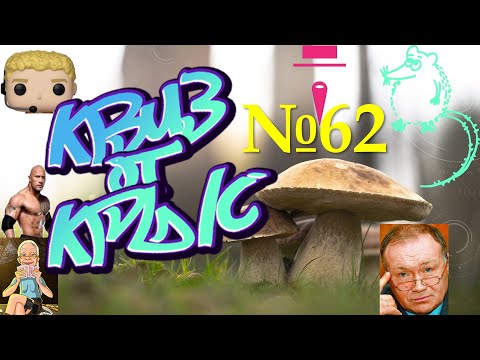 Видео: КВИЗ от КРЫС эпизод 62 QUIZ ot KRYS ep #62