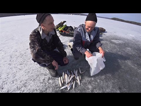 Видео: Закрытие зимнего сезона. Последний лёд. Рыбалка с ночёвкой на Рипуса. Качканар 23.04.2022.