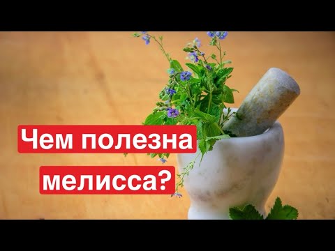 Видео: Чем полезна мелисса?