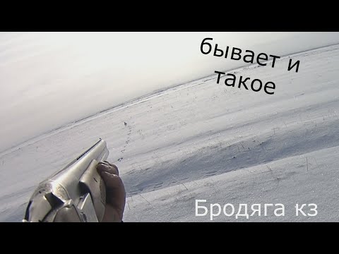 Видео: Охота на зайца как это было. Кучность Тоз-34 .