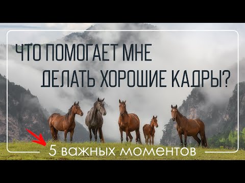 Видео: Как снимать хорошие пейзажные кадры.