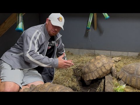 Видео: Застал ее с поличным!