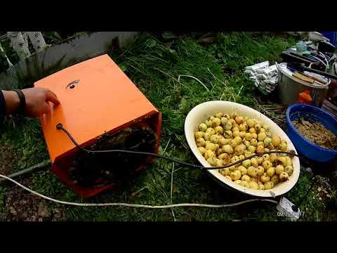 Видео: Корморезка вихрь 1350 ватт