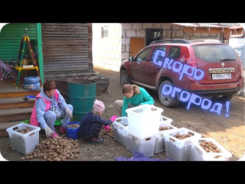 Видео: Так и живем, то весна, то лето, то опять зима.