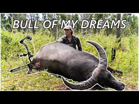 Видео: БЫК МОЕЙ МЕЧТЫ | ОДИНОЧНАЯ охота с луком на САМОЕ ОПАСНОЕ ЖИВОТНОЕ Австралии!